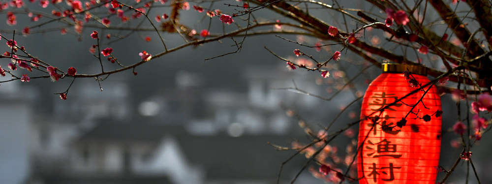 春來花開，綻放正當(dāng)時