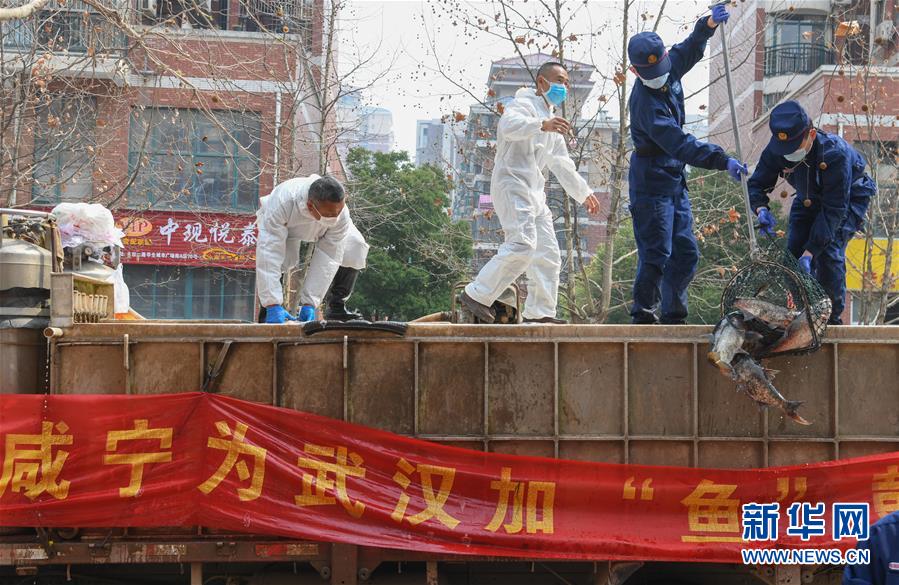 （新華全媒頭條·圖文互動）（12）從人民中汲取磅礴力量——習近平總書記同出席2020年全國兩會人大代表、政協委員共商國是紀實